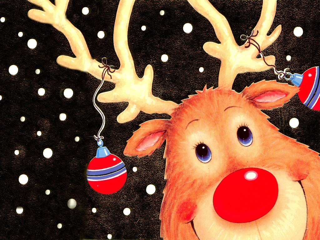 Christmas Turkeys Pictures Wallpapers